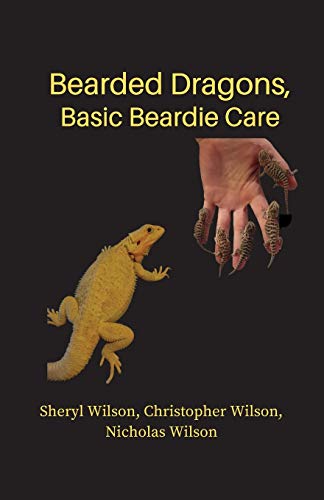 Bearded Dragons