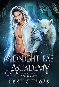 Midnight Fae Academy 