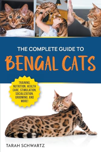 The Complete Guide to Bengal Cats