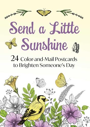 Send a Little Sunshine cover