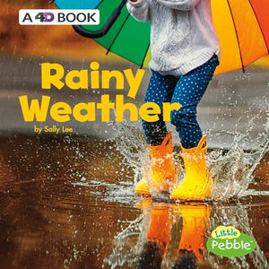 Rainy Weather a 4D Book (All Kinds of Weather)