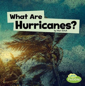 Wicked Weather What are Hurricanes?