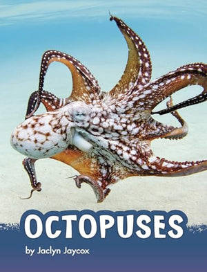 Octopuses