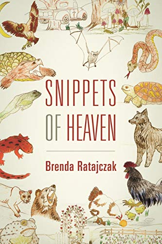 Snippets of Heaven cover