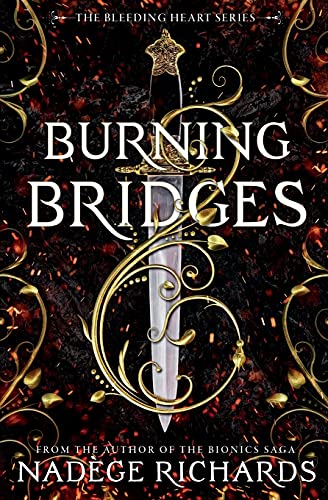Burning Bridges cover