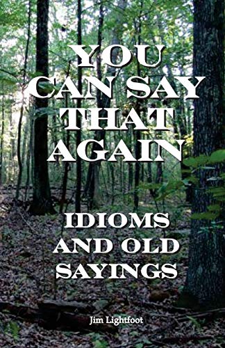 You Can Say That Again cover