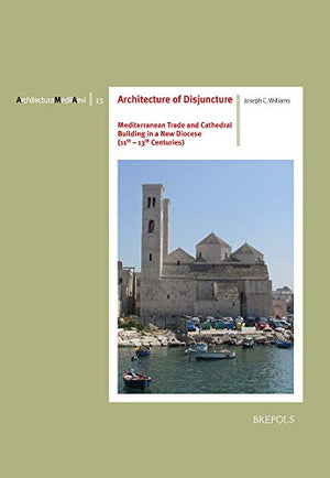 Architecture of Disjuncture
