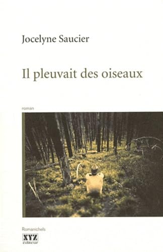 Il pleuvait des oiseaux (French Edition)