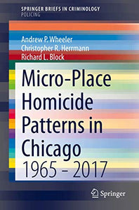 Micro-Place Homicide Patterns in Chicago 