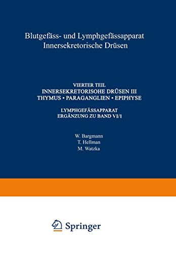 Blutgefass- und Lymphgefassapparat Innersekretorische Drusen