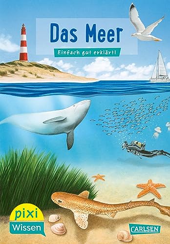 Das Meer: Einfach gut erklärt