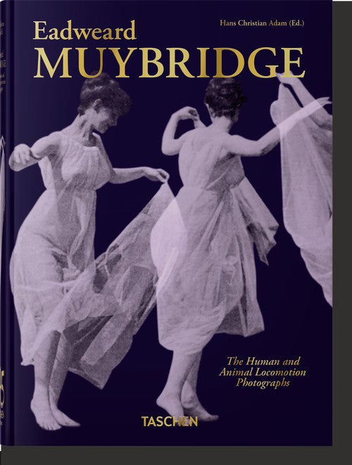 Muybridge