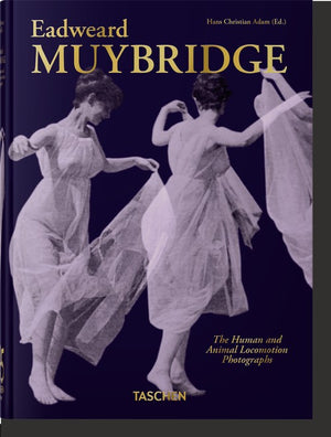 Muybridge