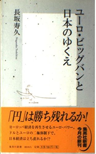 ユーロ・ビッグバンと日本のゆくえ (集英社新書)