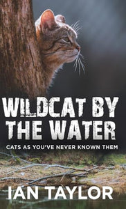 Wildcat By The Water 