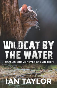 Wildcat By The Water 