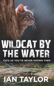 Wildcat By The Water 