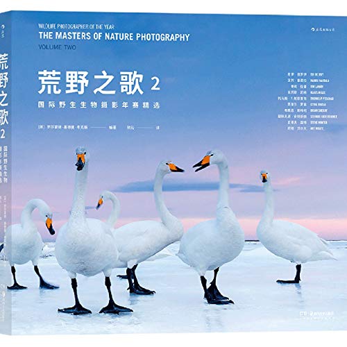 荒野之歌(2国际野生生物摄影年赛精选)(精)
