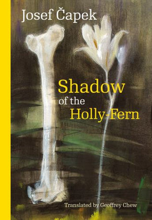 Shadow of the Holly-Fern