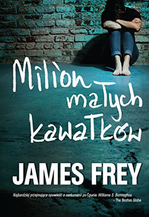 Milion malych kawalków