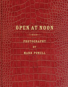 Open at Noon: Mark Alor Powell 