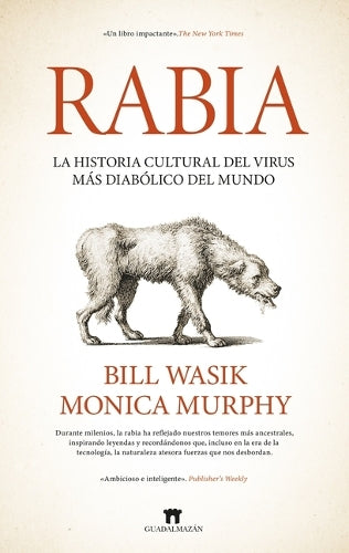 Rabia