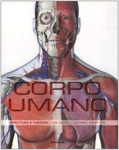 Corpo umano 