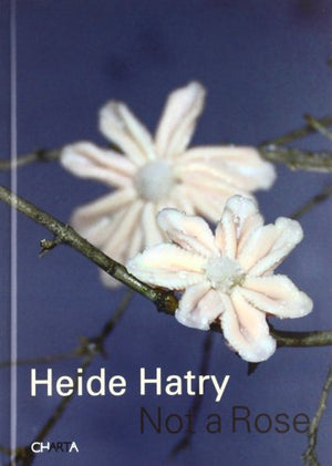 Heidi Hatry: Not a Rose