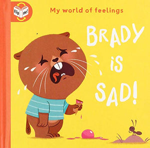 My World of Feelings: Sad/Happy: Brady is happy-sad 