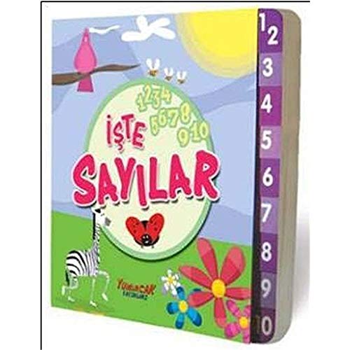 Iste Sayilar