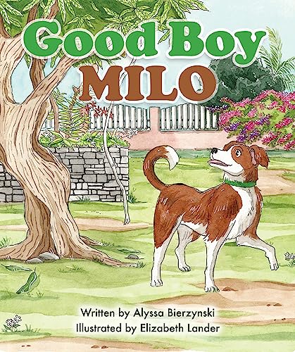 Good boy Milo