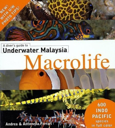 A Divers Guide to Underwater Malaysia Macrolife