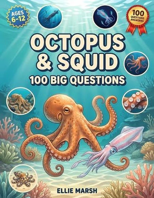 Octopus & Squid