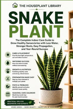 Snake Plant