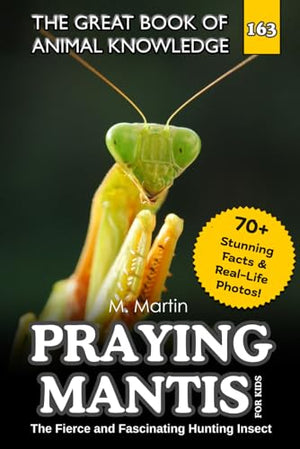 Praying Mantis for Kids
