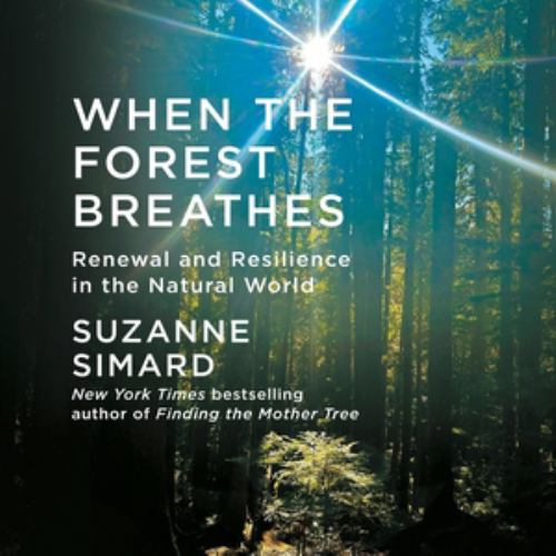 When the Forest Breathes