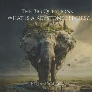 The Big Questions