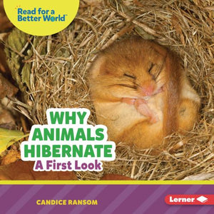 Why Animals Hibernate