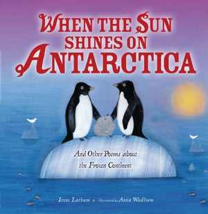 When the Sun Shines on Antarctica