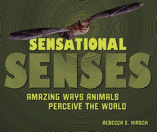Sensational Senses