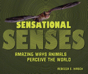 Sensational Senses