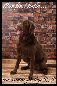 Our first hello our hardest goodbye xxxx 