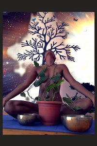 Yoga: Where the Impossible Meets the Possible: The True Mystical Love Story Between the Universe and the Human 