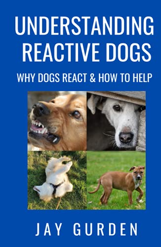 Understanding Reactive Dogs: Why Dogs React and How to Help