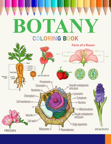 Botany Coloring Book : An Botany Coloring Book Plants Anatomy (Flowers ...