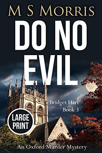 Do No Evil (Large Print Edition)