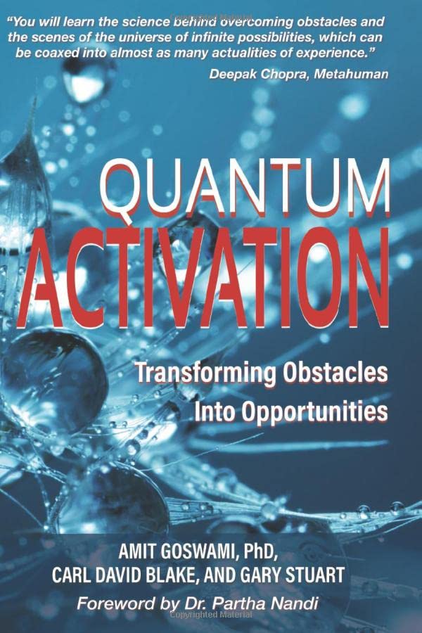 Quantum Activation: Transforming Obstacles Into Opportunities By Gary ...