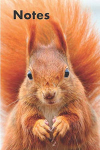 Red Squirrel Notebook 120 Lined Pages 6x9 Inches Nature Wildlife Animal Tracking Planning Journal 