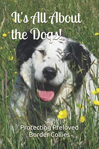 It's All About the Dogs!