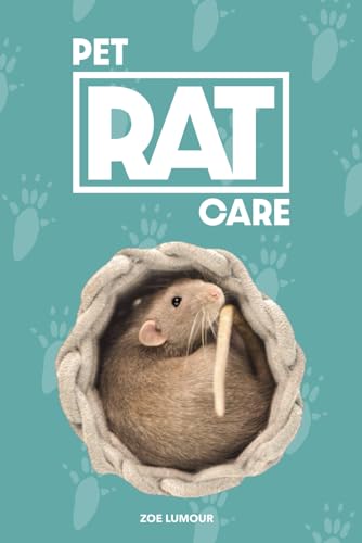 Pet Rat Care
